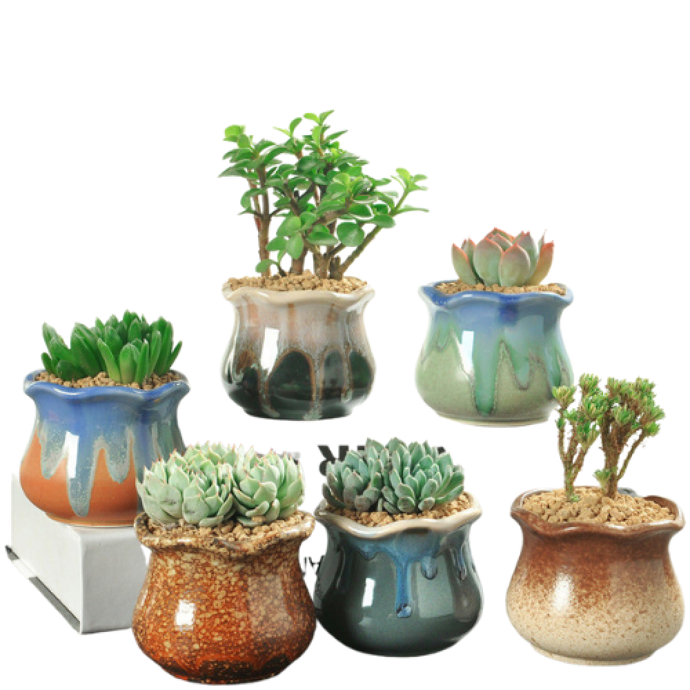 Glazed Garden Pots | Set Of 6